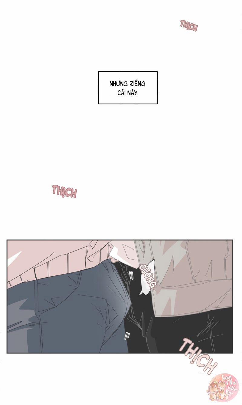 Nhà Nghỉ BL 41 trang 3