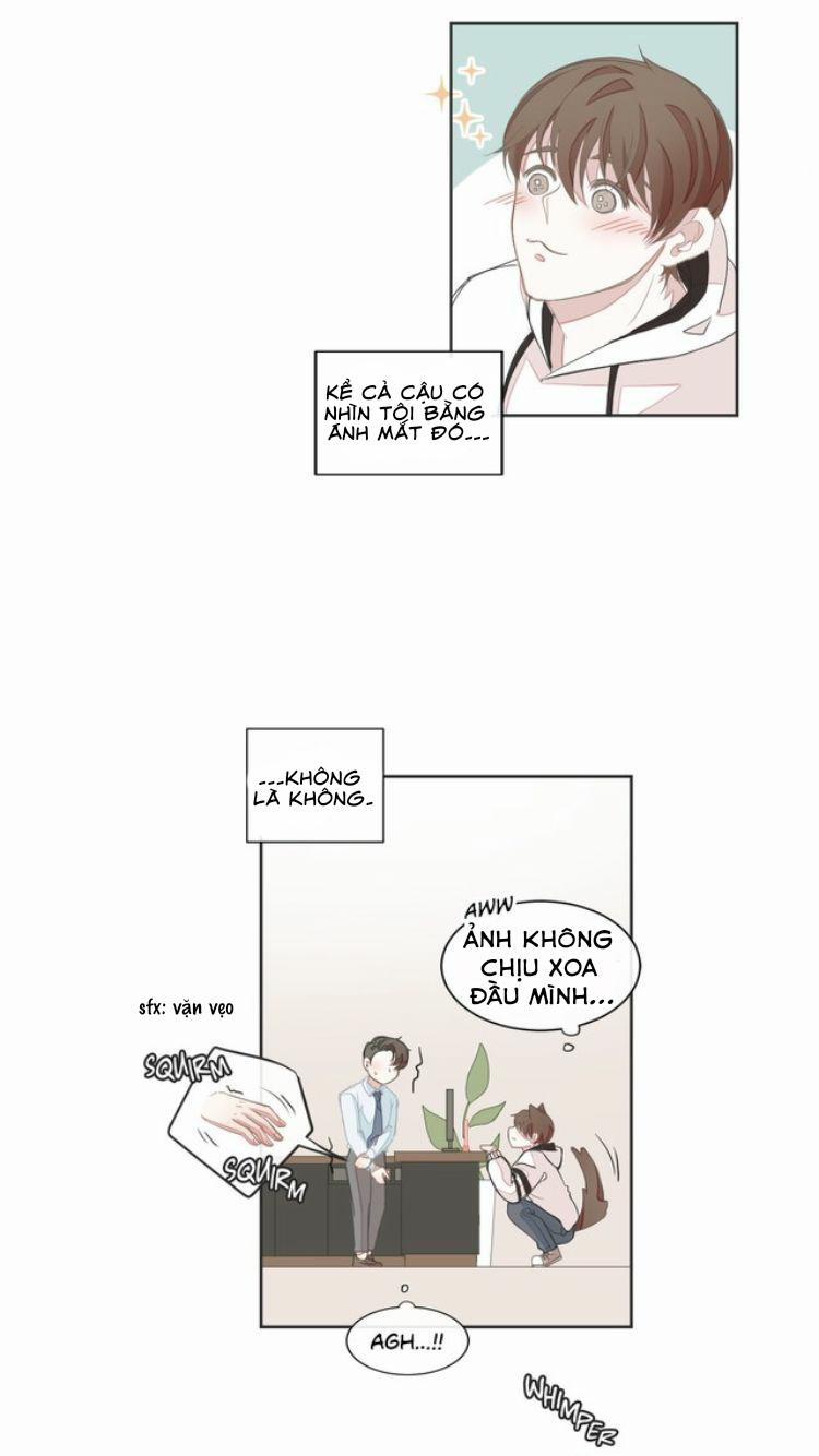 Nhà Nghỉ BL 8 trang 18