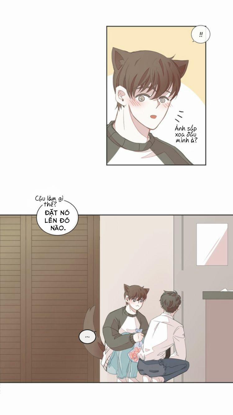 Nhà Nghỉ BL 8 trang 25