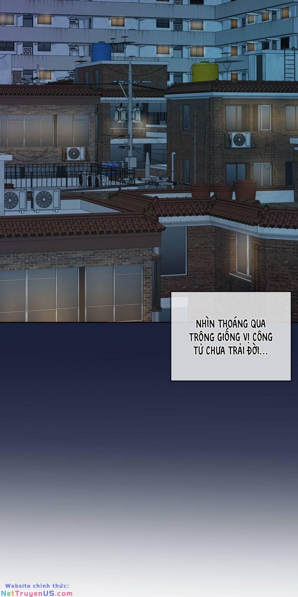 Nhà Tôi Có Một Con Chuột 11 trang 38