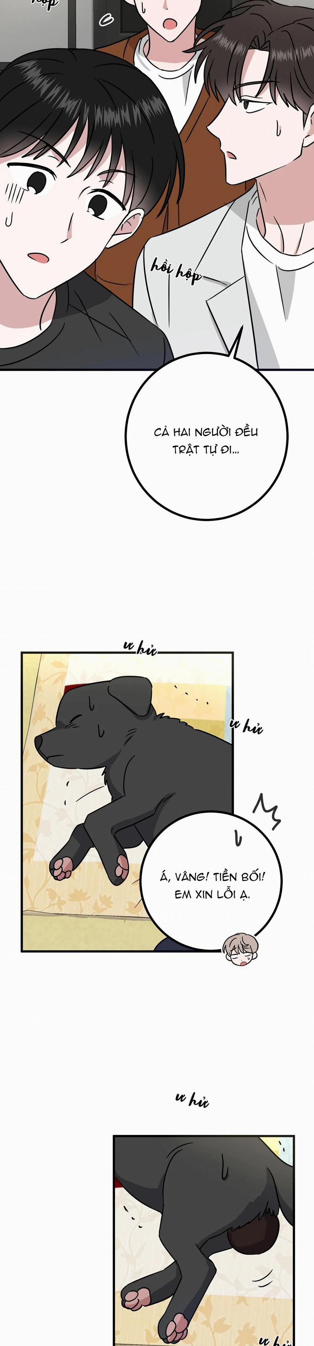 Nhà Tôi Thành Phim Trường Mất Rồi 11 trang 1