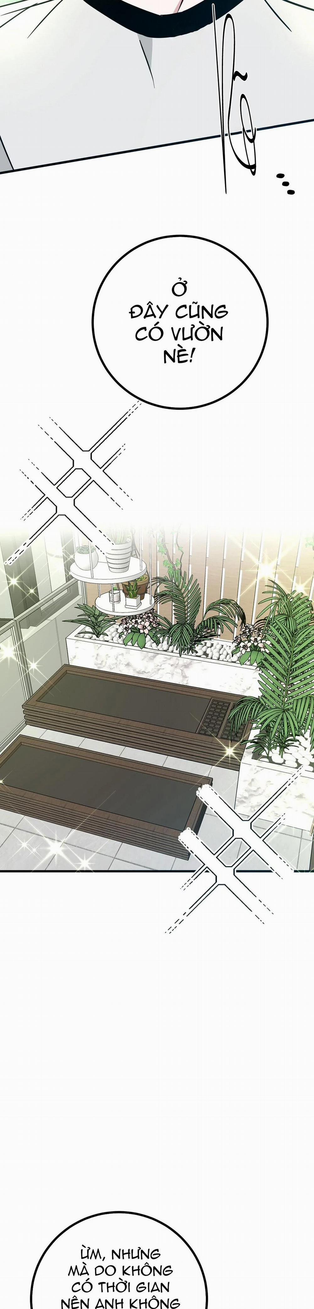 Nhà Tôi Thành Phim Trường Mất Rồi 21 trang 43