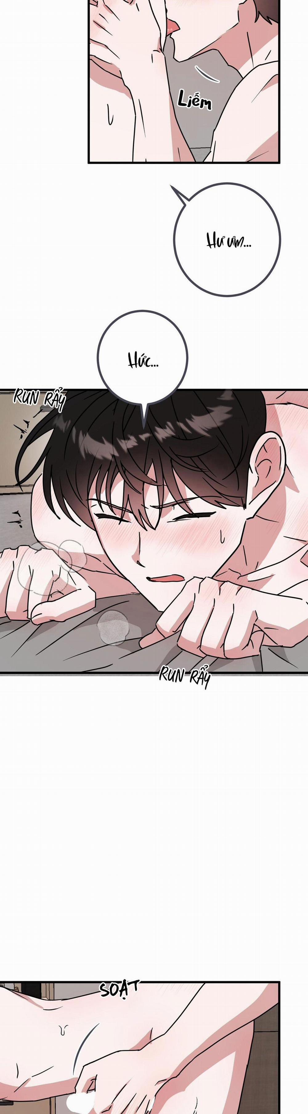 Nhà Tôi Thành Phim Trường Mất Rồi 47 0 trang 11