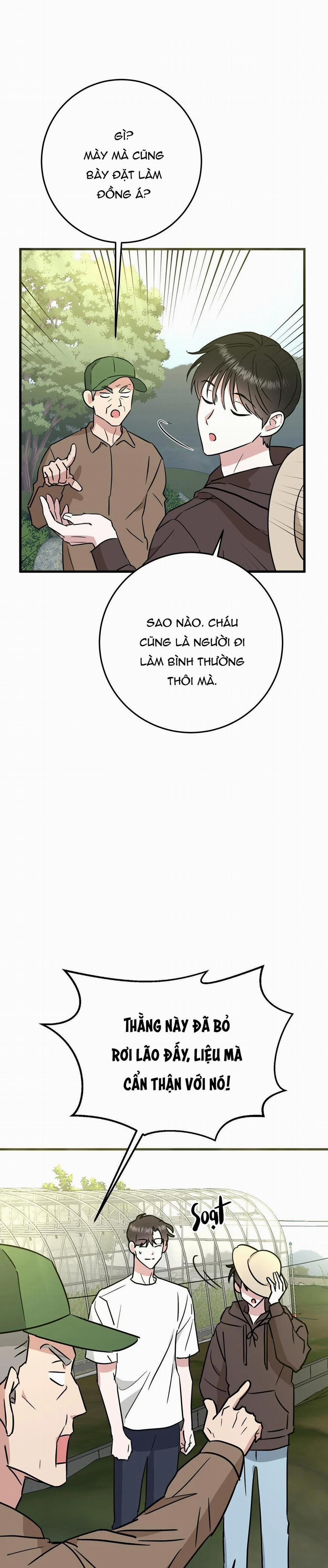 Nhà Tôi Thành Phim Trường Mất Rồi 5 trang 0