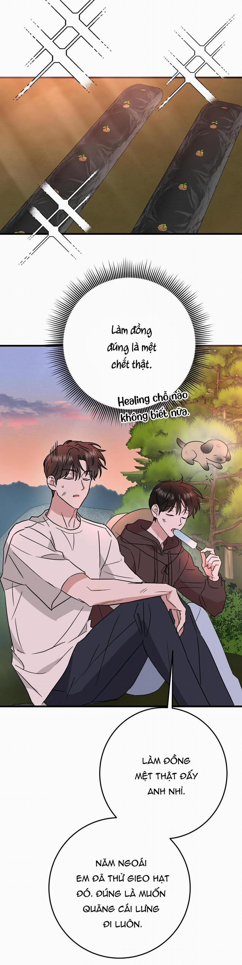 Nhà Tôi Thành Phim Trường Mất Rồi 5 trang 22