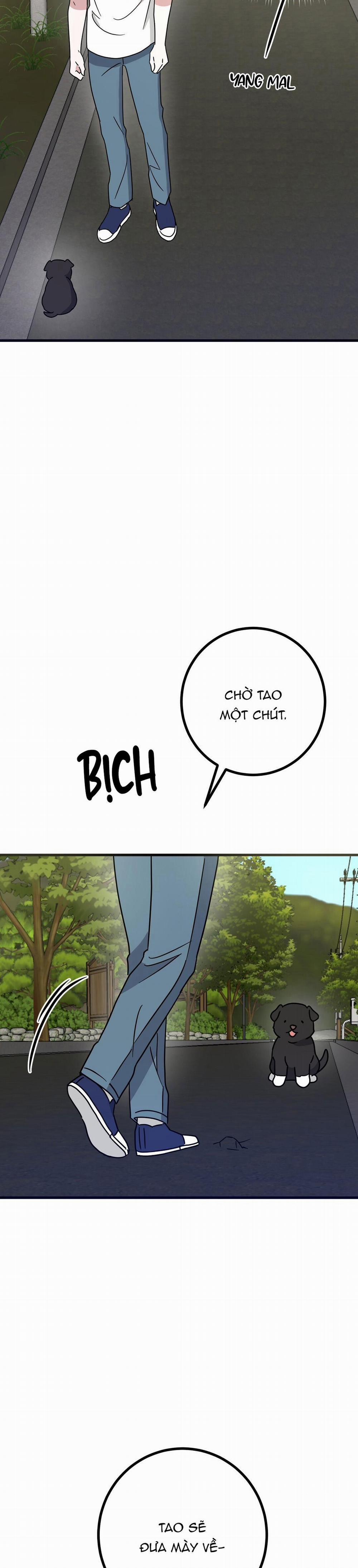 Nhà Tôi Thành Phim Trường Mất Rồi 55 trang 33