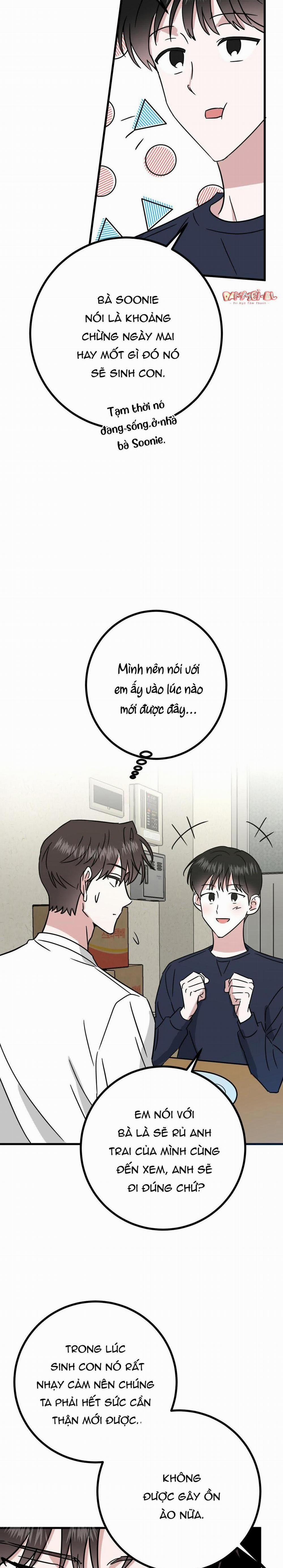 Nhà Tôi Thành Phim Trường Mất Rồi 6 trang 32