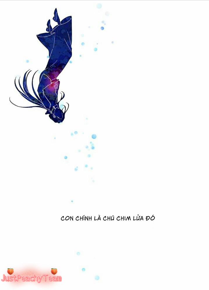 Nhân Danh Đấng Cứu Thế 4 trang 14