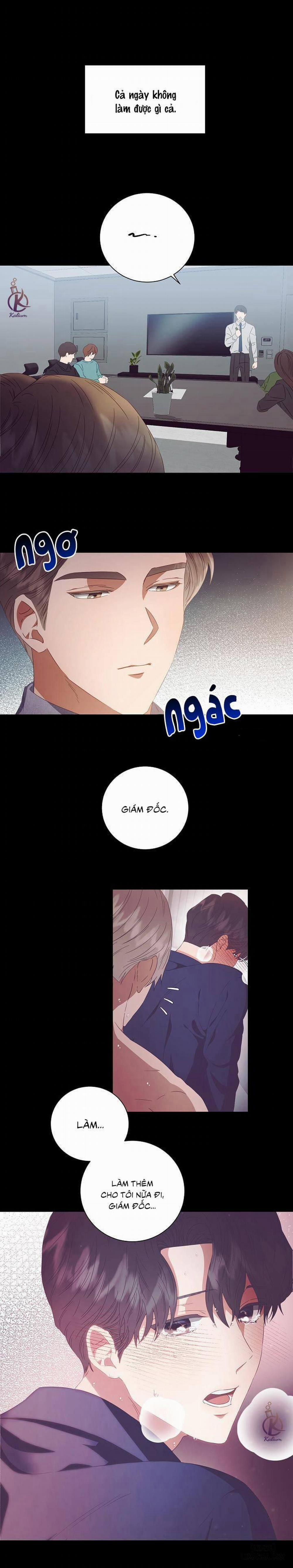 Nhân duyên 99.99% 19 trang 0