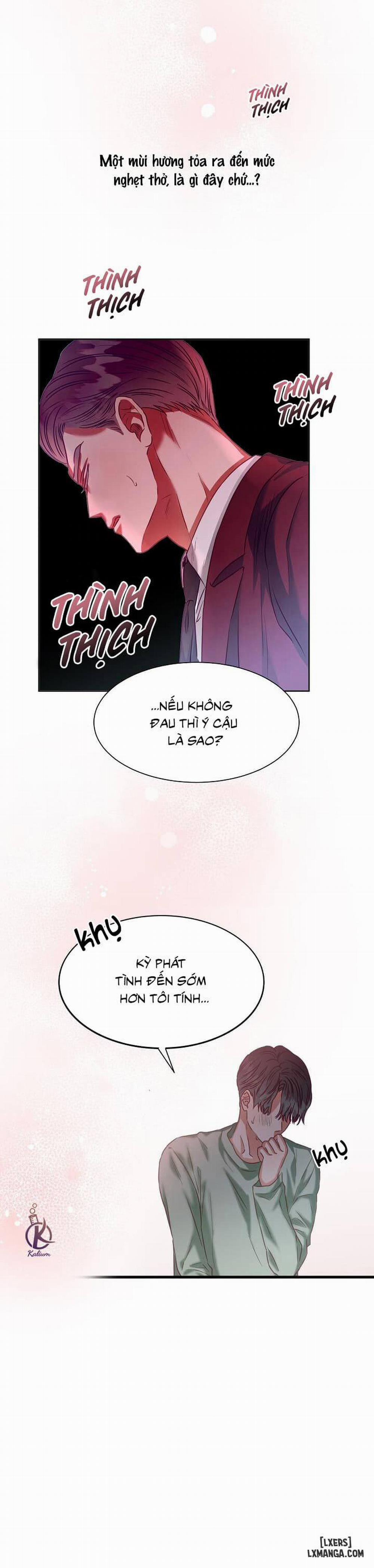 Nhân duyên 99.99% 5 trang 12