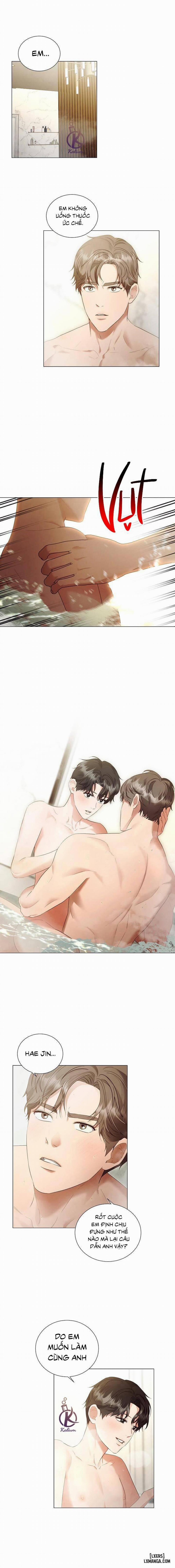 Nhân duyên 99.99% Ngoại truyện 5 trang 0