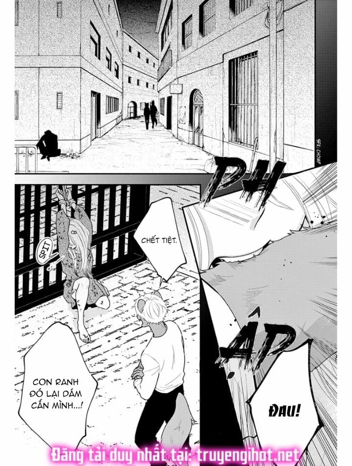 Nhân Duyên Chú Chuột Đồng Bị Dồn Vào Đường Cùng 1 trang 0