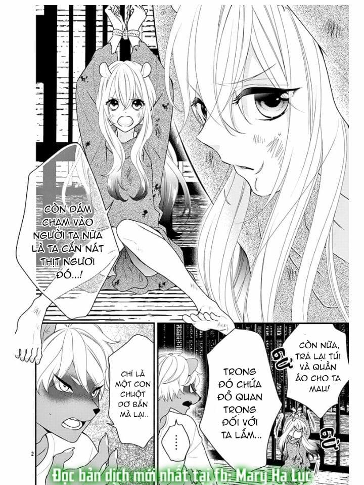 Nhân Duyên Chú Chuột Đồng Bị Dồn Vào Đường Cùng 1 trang 1