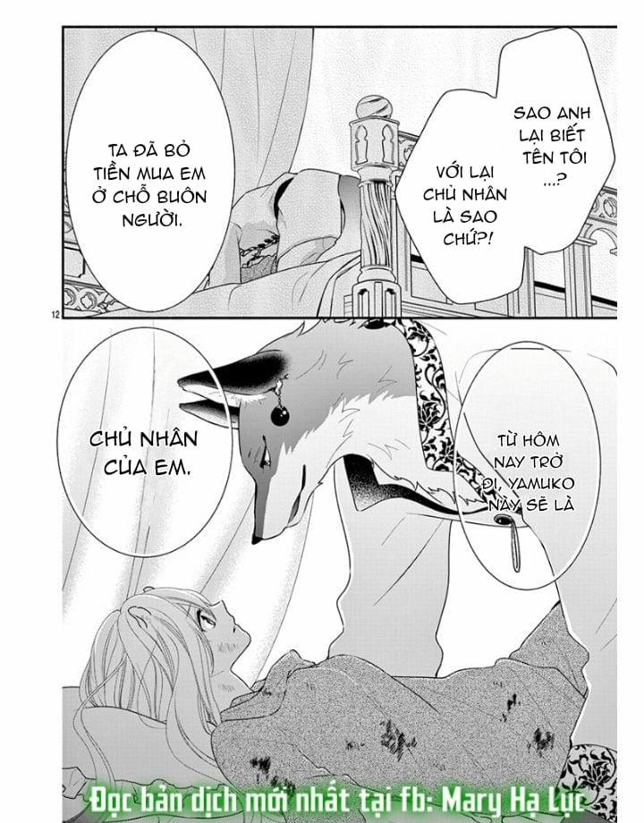 Nhân Duyên Chú Chuột Đồng Bị Dồn Vào Đường Cùng 1 trang 11