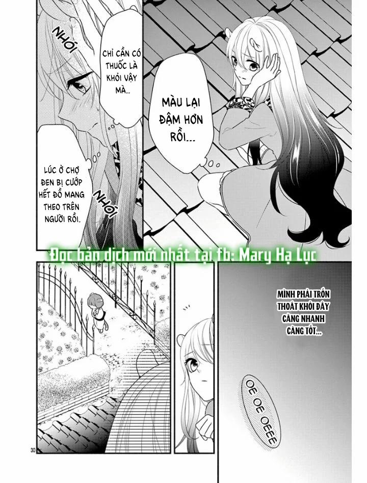 Nhân Duyên Chú Chuột Đồng Bị Dồn Vào Đường Cùng 1 trang 29