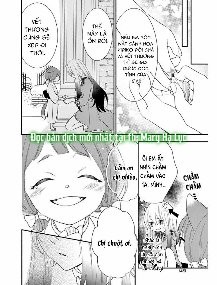 Nhân Duyên Chú Chuột Đồng Bị Dồn Vào Đường Cùng 1 trang 31