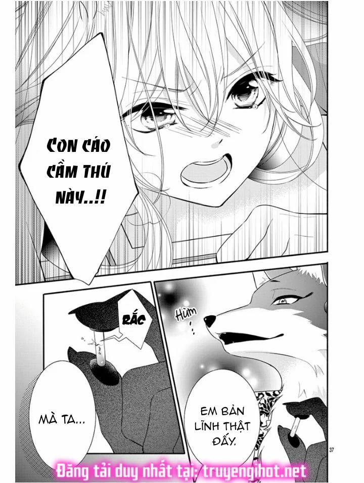 Nhân Duyên Chú Chuột Đồng Bị Dồn Vào Đường Cùng 1 trang 36