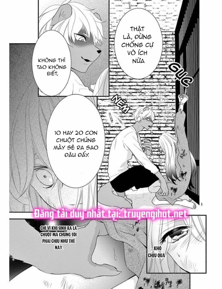 Nhân Duyên Chú Chuột Đồng Bị Dồn Vào Đường Cùng 1 trang 4