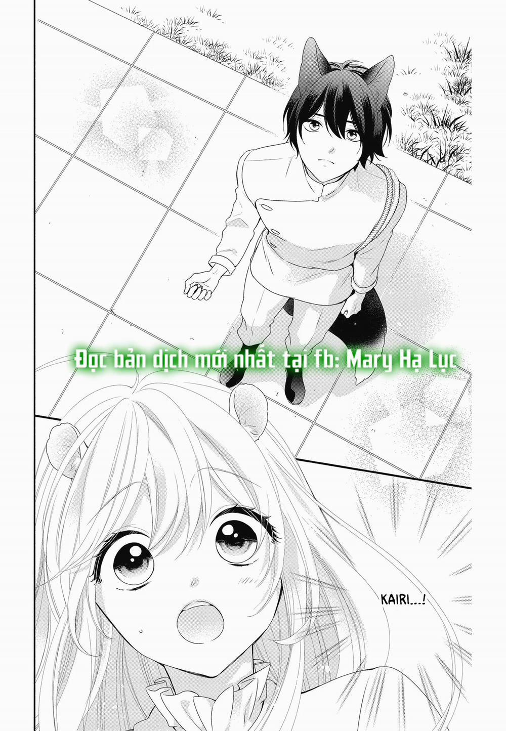 Nhân Duyên Chú Chuột Đồng Bị Dồn Vào Đường Cùng 11.1 trang 4