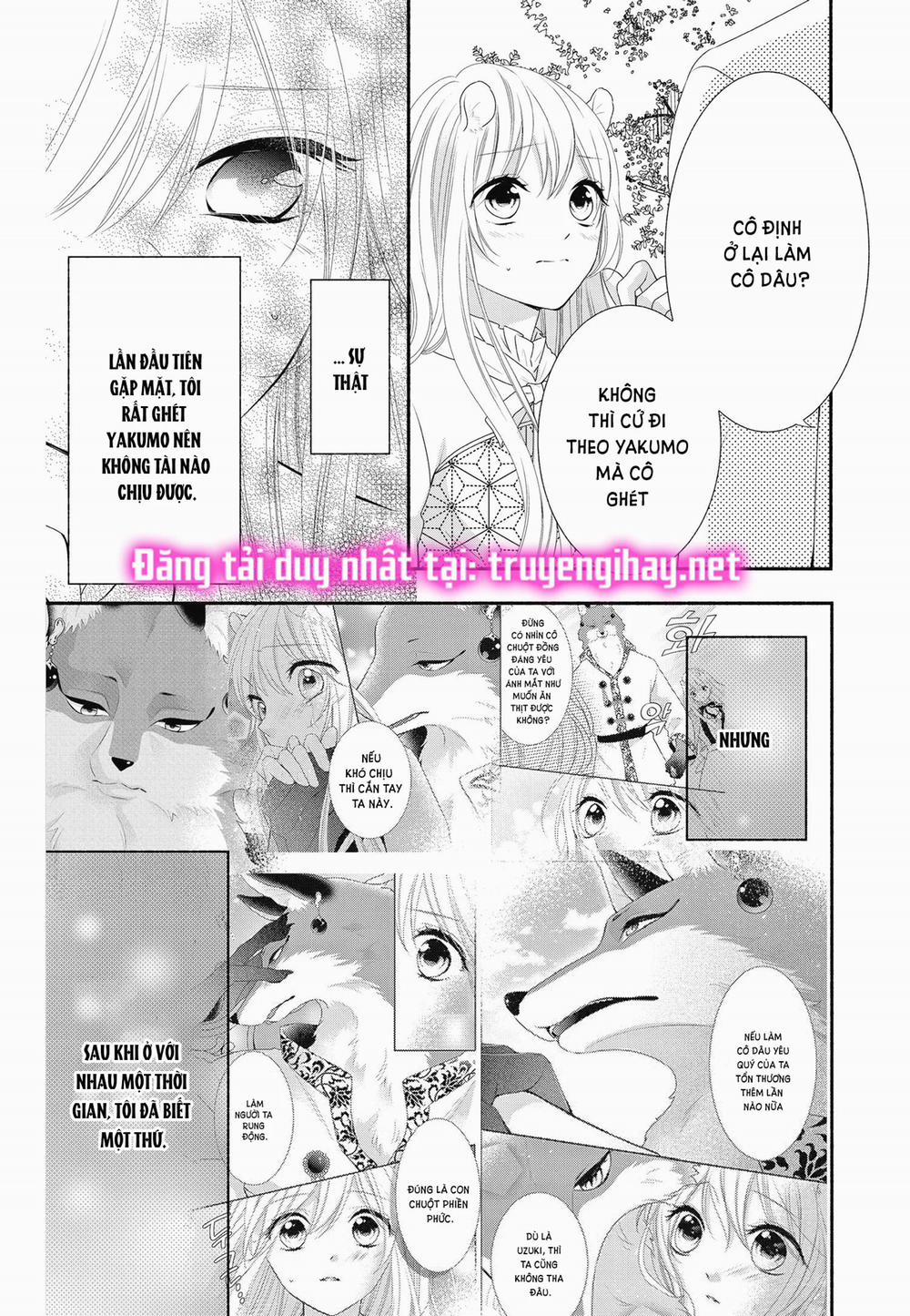 Nhân Duyên Chú Chuột Đồng Bị Dồn Vào Đường Cùng 11.2 trang 3