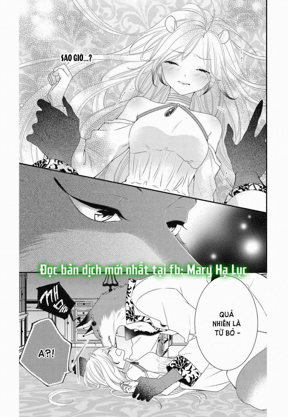 Nhân Duyên Chú Chuột Đồng Bị Dồn Vào Đường Cùng 12.2 trang 4