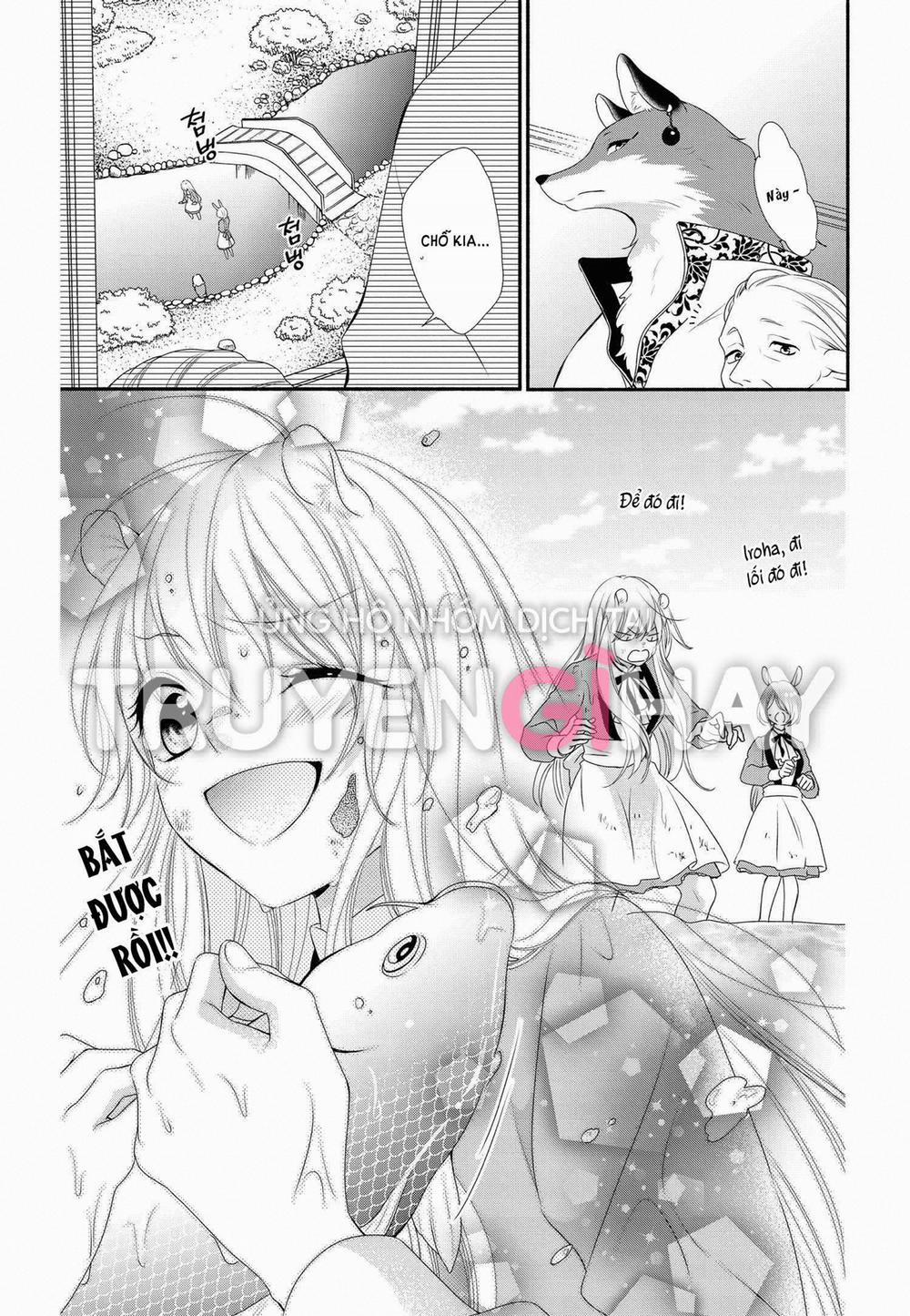 Nhân Duyên Chú Chuột Đồng Bị Dồn Vào Đường Cùng 14.2 trang 9