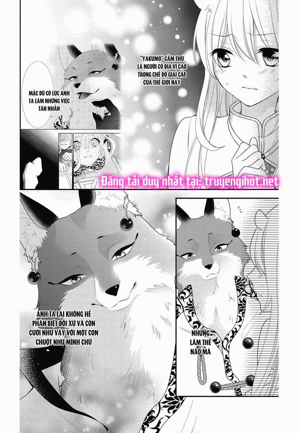 Nhân Duyên Chú Chuột Đồng Bị Dồn Vào Đường Cùng 3 trang 18