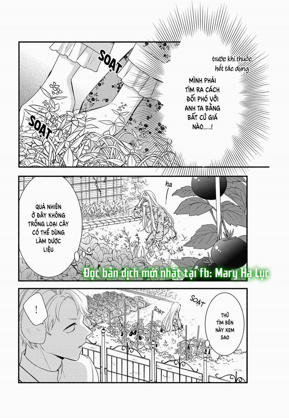 Nhân Duyên Chú Chuột Đồng Bị Dồn Vào Đường Cùng 4 trang 13