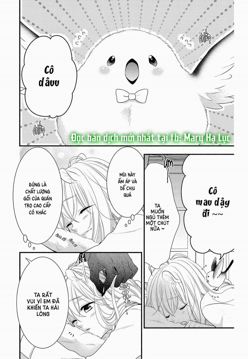 Nhân Duyên Chú Chuột Đồng Bị Dồn Vào Đường Cùng 4 trang 3