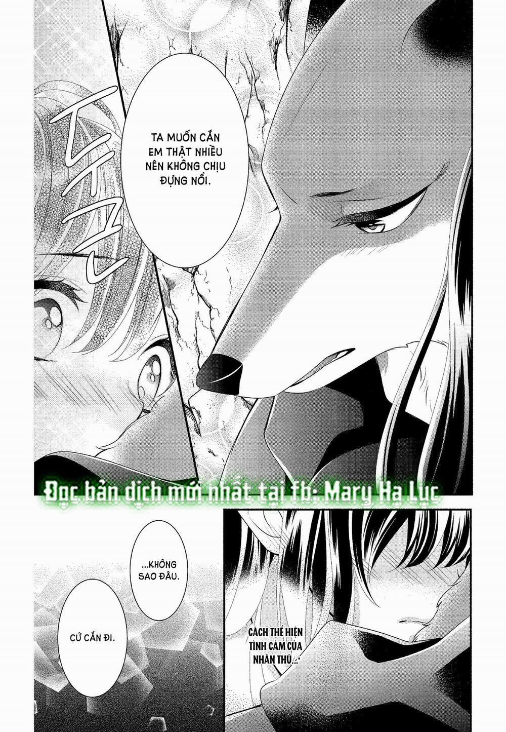 Nhân Duyên Chú Chuột Đồng Bị Dồn Vào Đường Cùng 52.1 trang 13