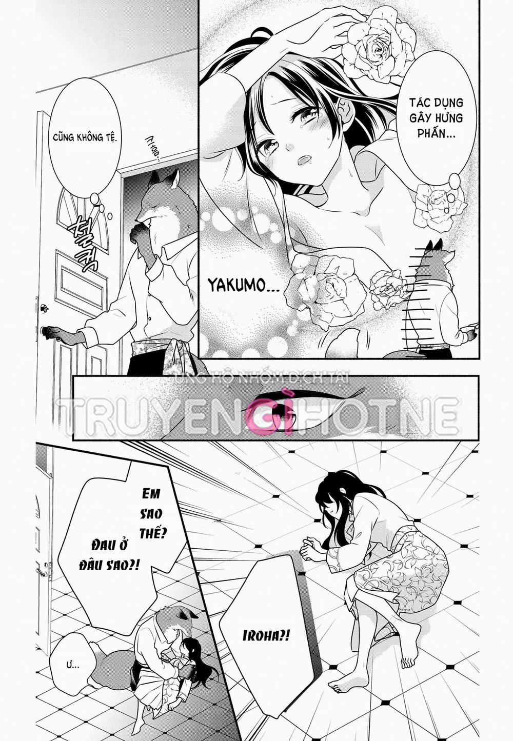 Nhân Duyên Chú Chuột Đồng Bị Dồn Vào Đường Cùng 53.1 trang 13