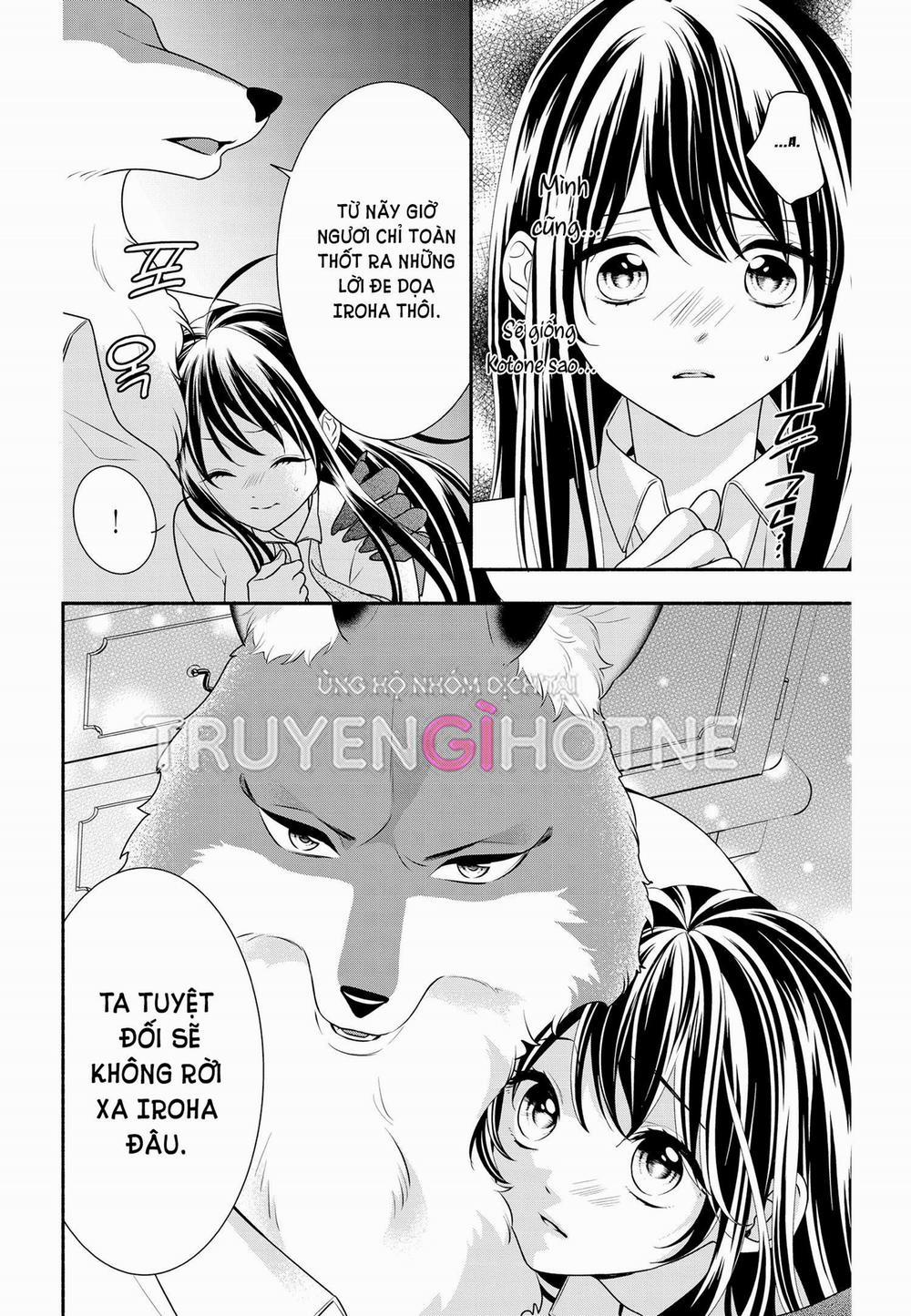 Nhân Duyên Chú Chuột Đồng Bị Dồn Vào Đường Cùng 56.1 trang 6