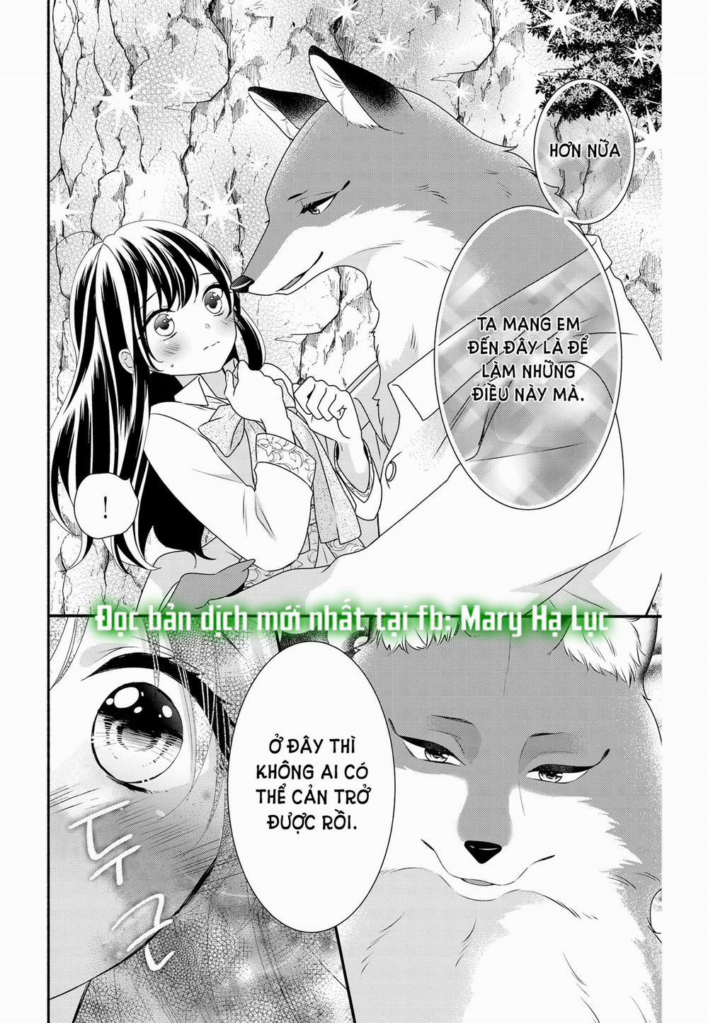 Nhân Duyên Chú Chuột Đồng Bị Dồn Vào Đường Cùng 61.1 trang 2