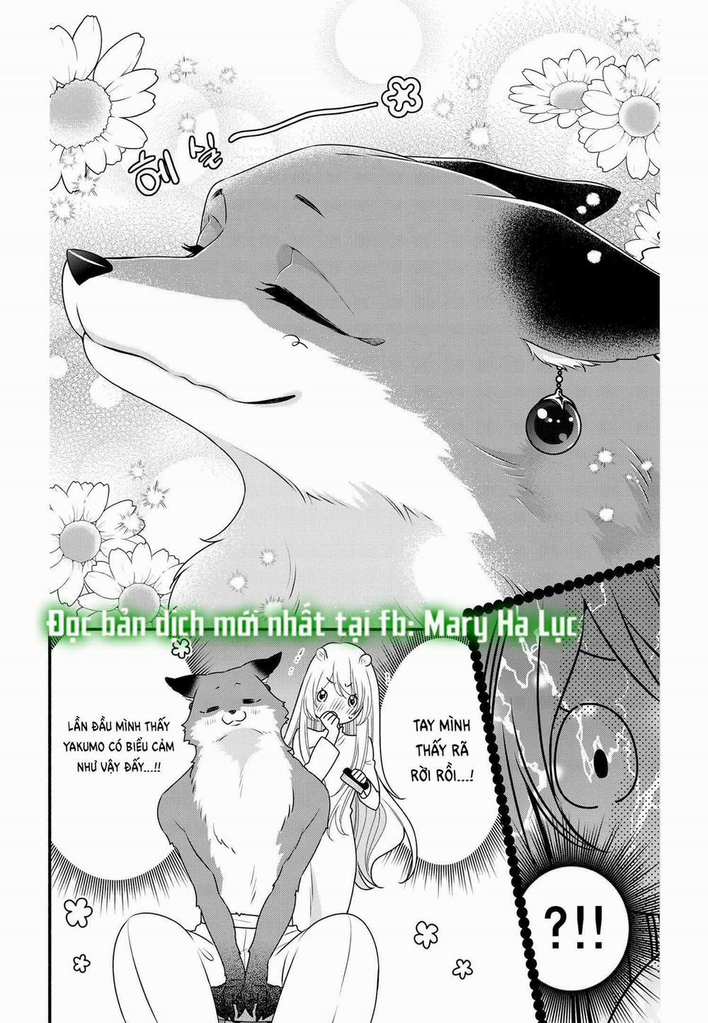 Nhân Duyên Chú Chuột Đồng Bị Dồn Vào Đường Cùng 61.2 trang 10