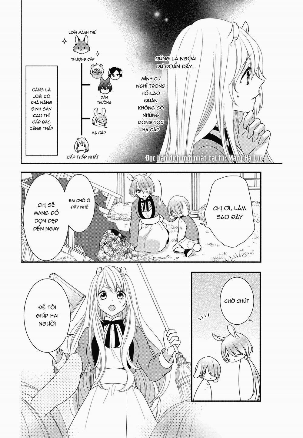 Nhân Duyên Chú Chuột Đồng Bị Dồn Vào Đường Cùng 7 trang 8