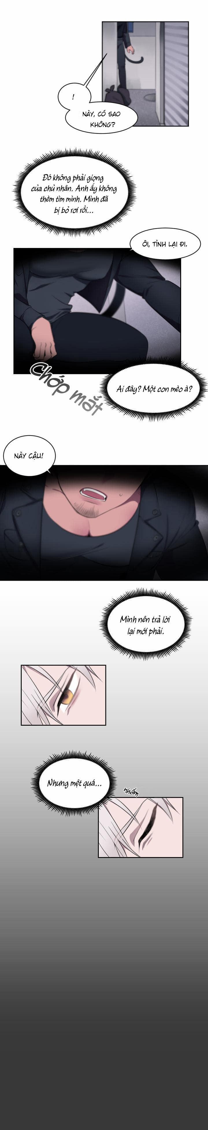 Nhận Lấy Tình Yêu 1 trang 4