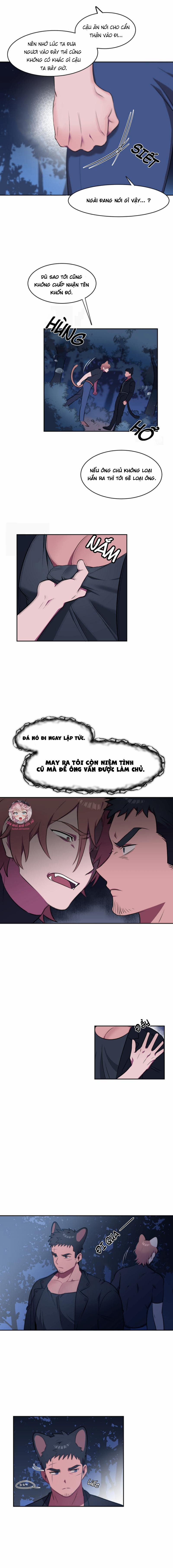 Nhận Lấy Tình Yêu 2 trang 13