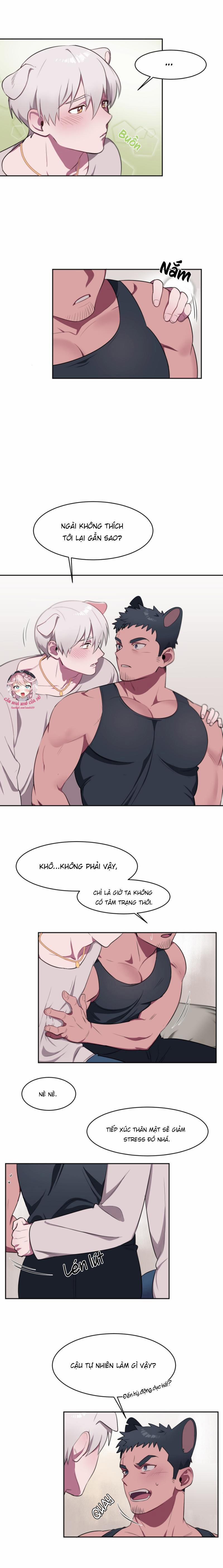 Nhận Lấy Tình Yêu 3 trang 5