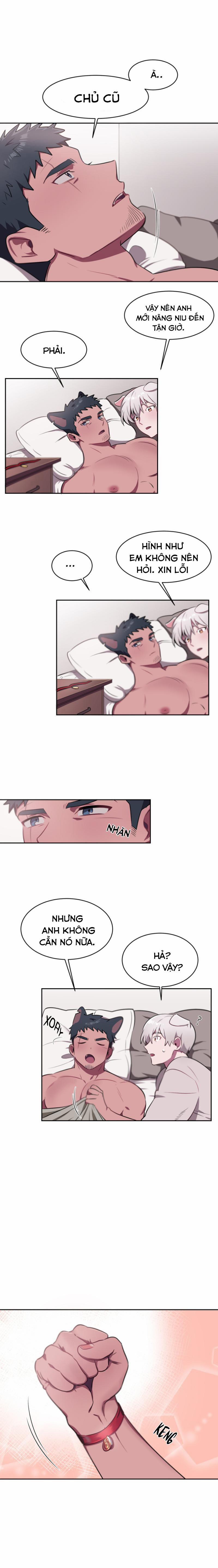 Nhận Lấy Tình Yêu 6 trang 11