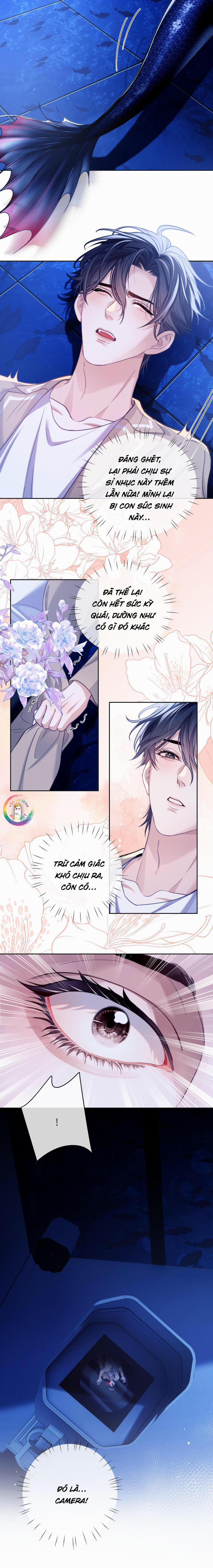 Nhân Ngư Desharow 17 trang 8