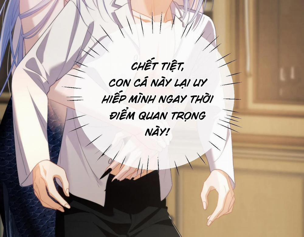 Nhân Ngư Desharow 23 trang 19