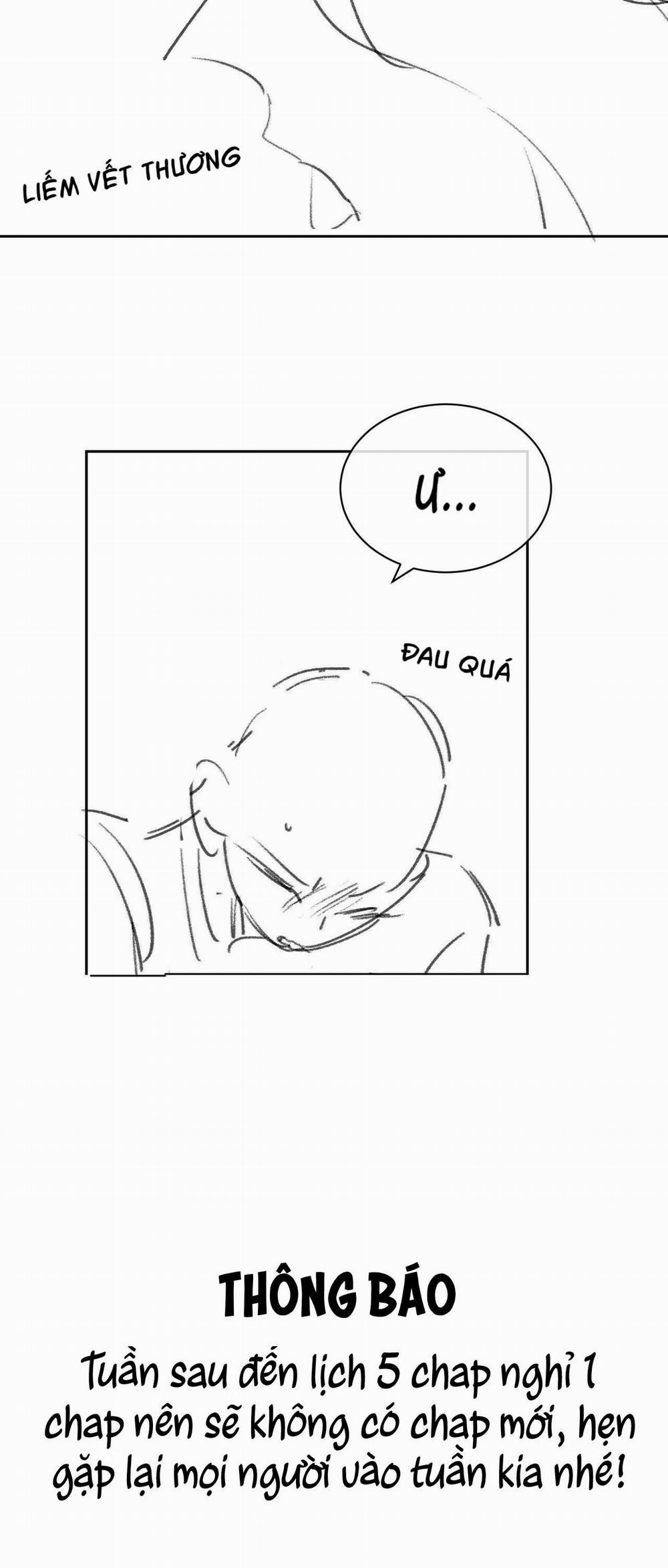 Nhân Ngư Desharow 25 trang 20