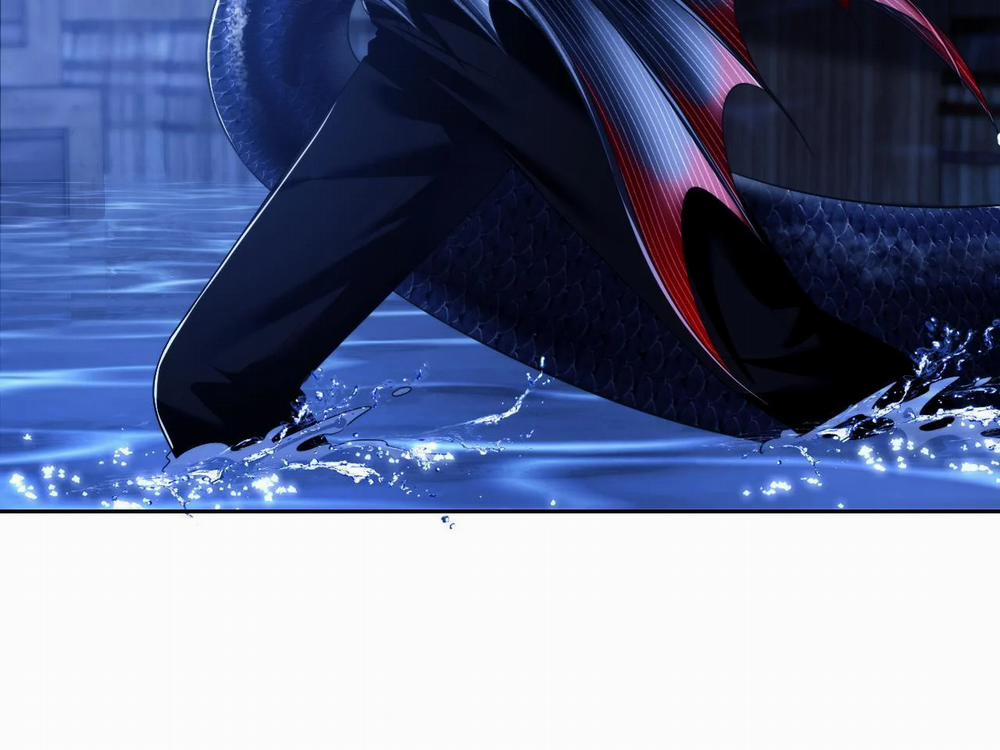 Nhân Ngư Desharow 27 trang 41