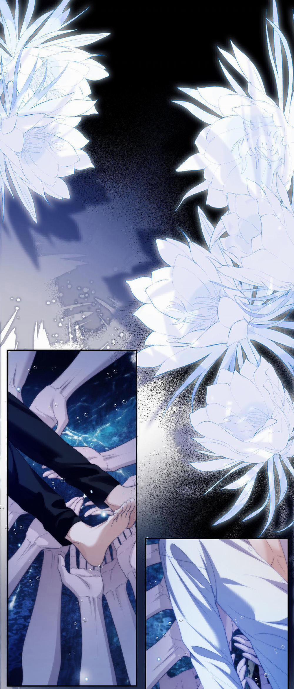 Nhân Ngư Desharow 33 trang 8