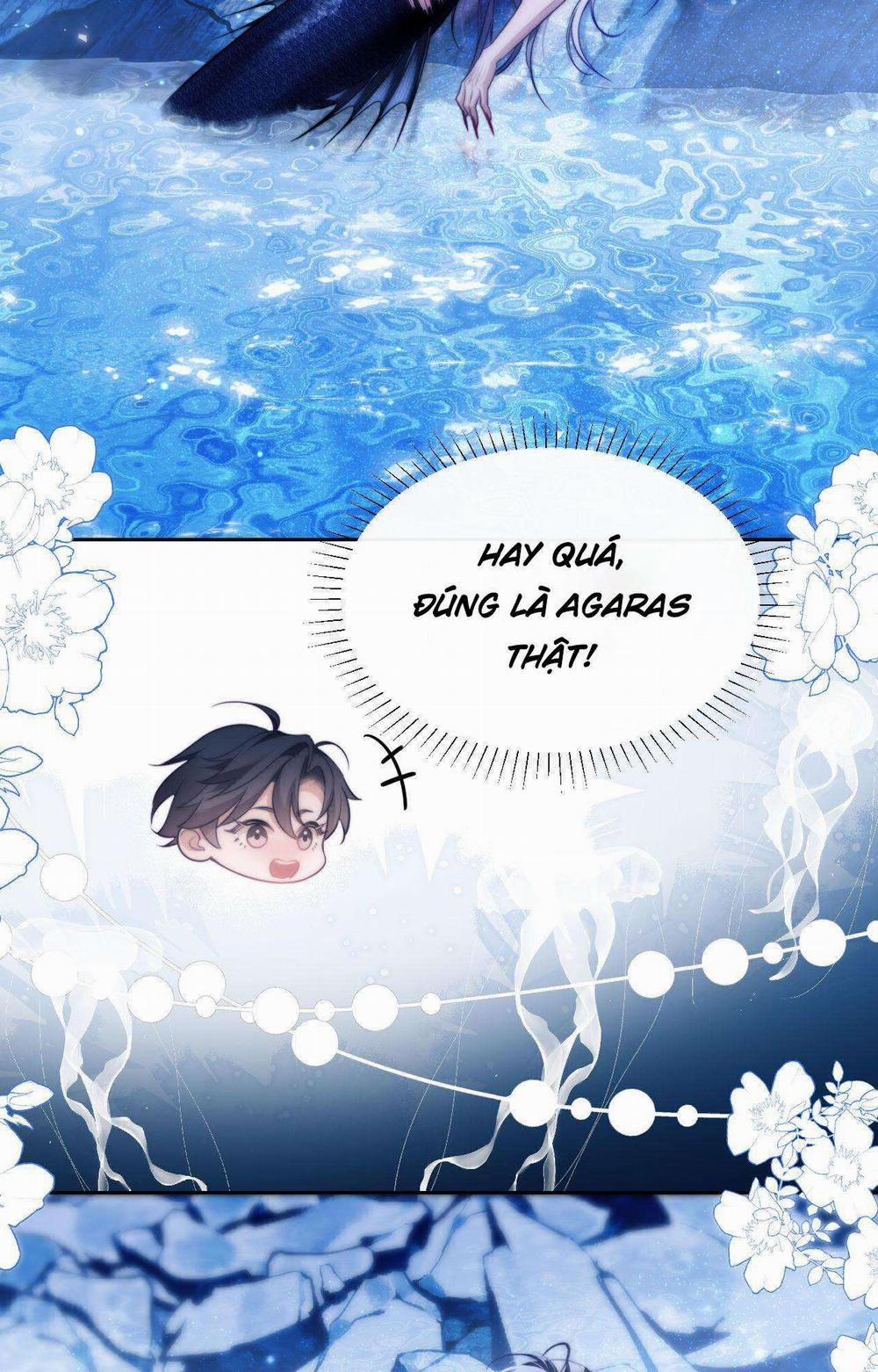 Nhân Ngư Desharow 44 trang 33