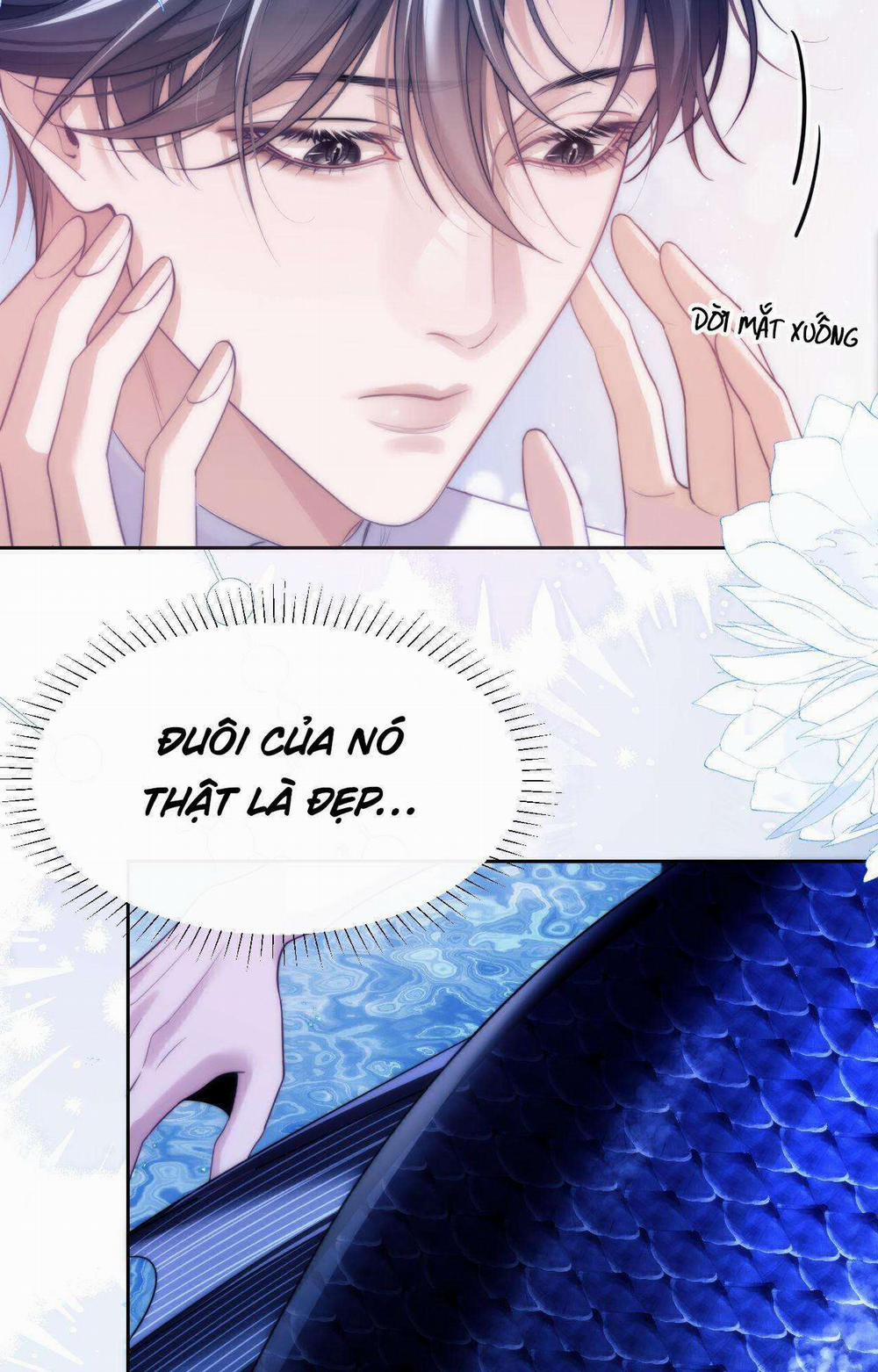 Nhân Ngư Desharow 44 trang 45