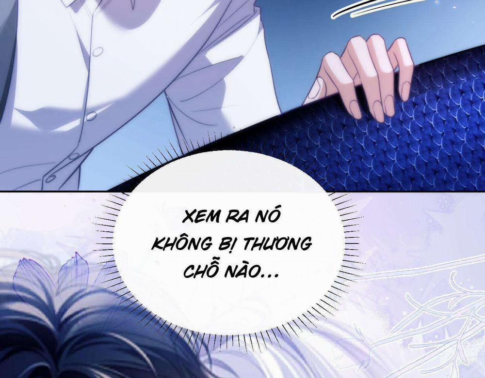 Nhân Ngư Desharow 44 trang 48