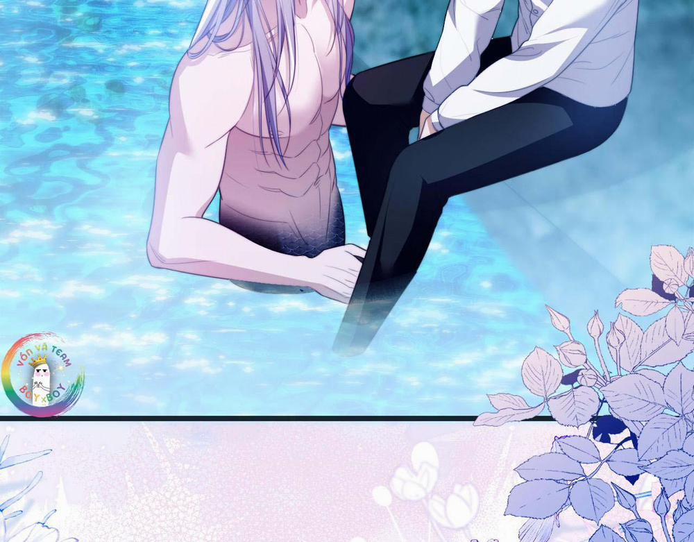 Nhân Ngư Desharow 52 trang 5