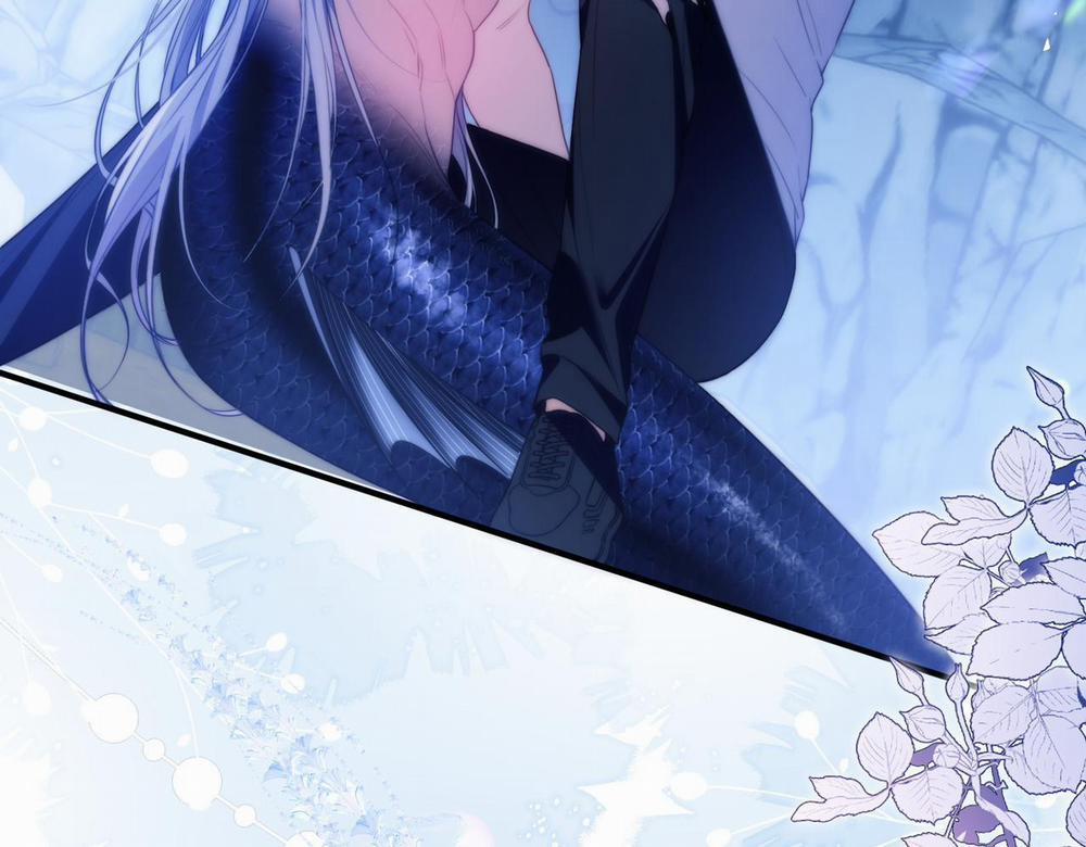 Nhân Ngư Desharow 55 trang 25