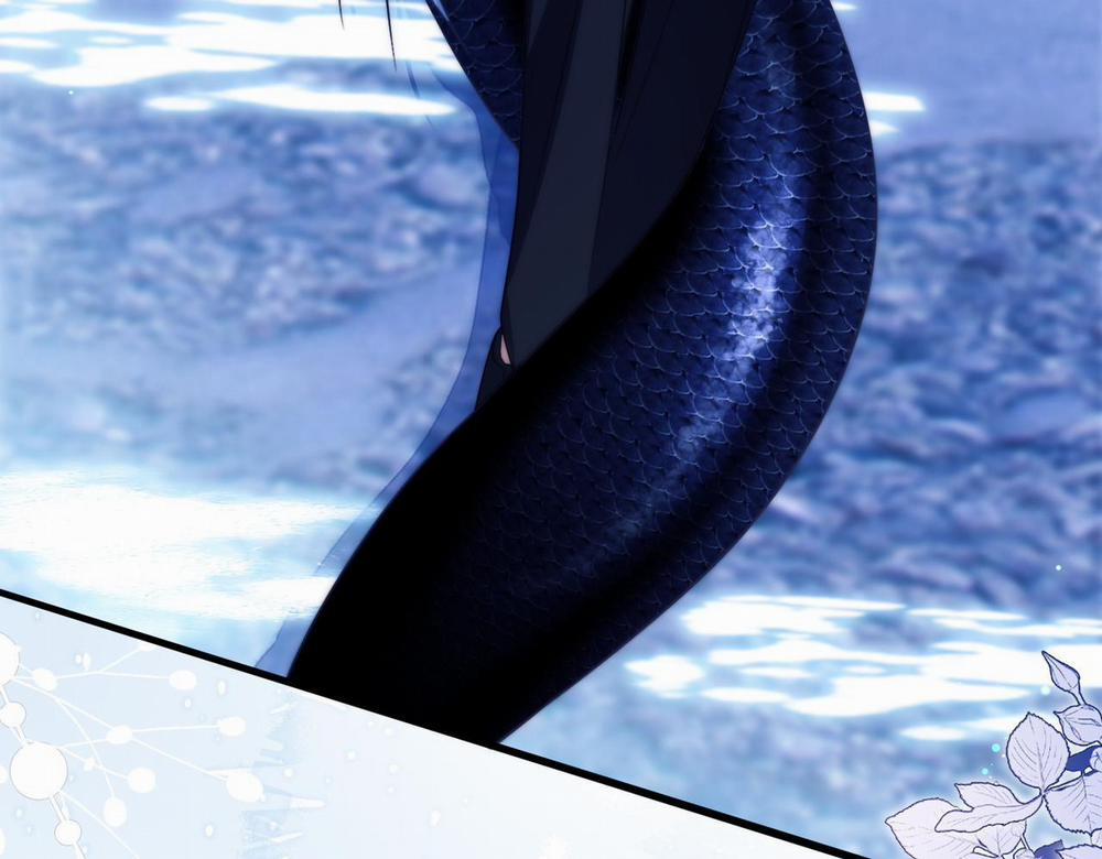 Nhân Ngư Desharow 55 trang 41